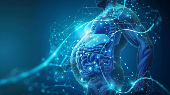 lipotropic injections reviews showing energy and metabolism improvements from telehealth programs